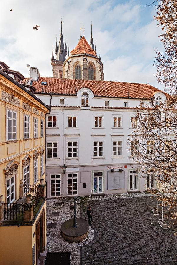 U Cerneho Medveda- At The Black Bear Apartment Prague Ngoại thất bức ảnh